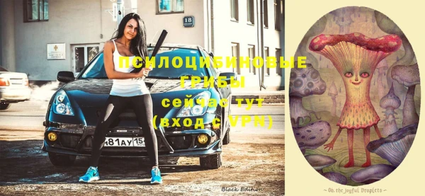 стафф Вязники