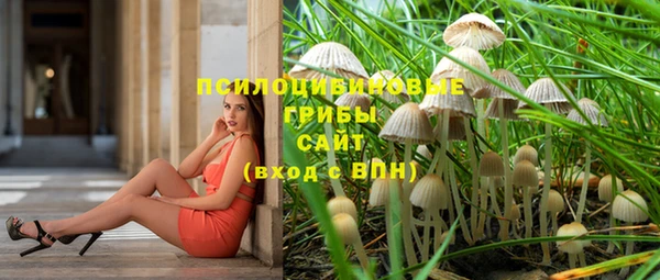 стафф Вязники