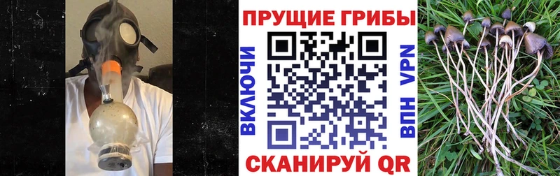 Псилоцибиновые грибы мухоморы  Купить закладки  Петрозаводск 
